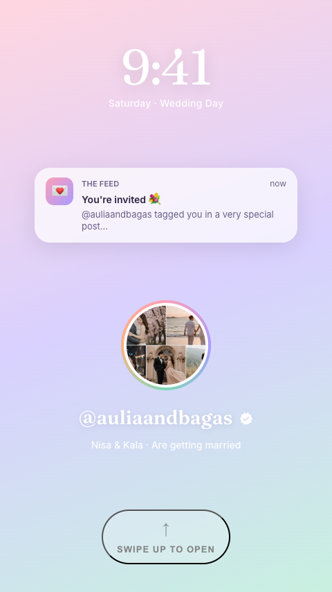 The Feed