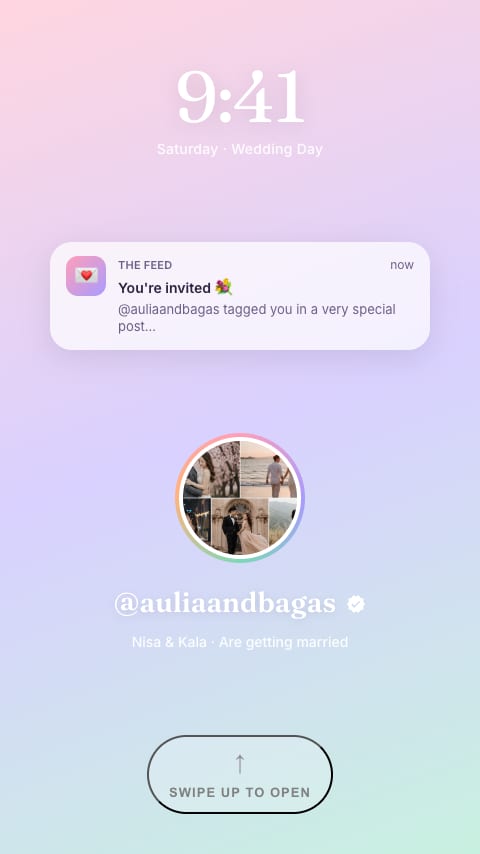The Feed
